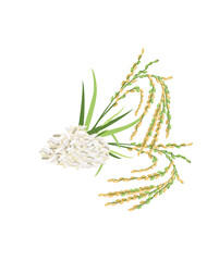 Vector illustration of rice plant and grain stock illustration