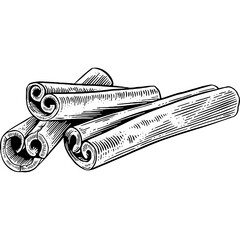 Hand drawn Cinnamon Sticks Sketch Illustration