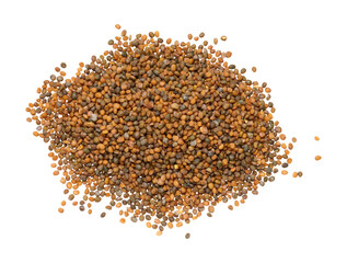 Bunch of arugula seeds for planting on isolated background