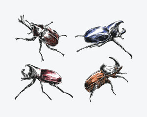 Set of engrave rhinoceros beetle. Different pose, action. Isolated on white background. Colorful vector illustration.