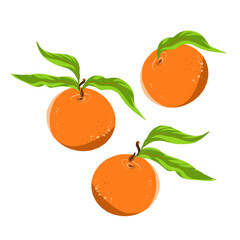 set of oranges with leaves, transparent background