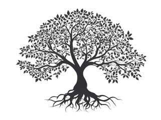 Fototapeta premium Silhouette of tree and roots black. transparent background