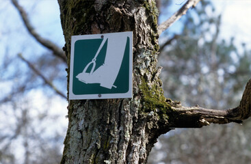 Piste cavalière, Forêt de Fontainebleau, Seine et Marne,   77, France