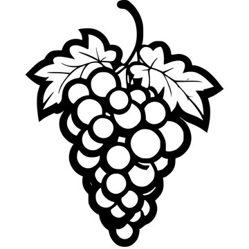 black and white grapes bunch clip art preview