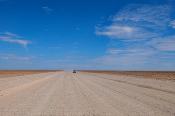 wilderness of the Namib desert, Namibia Africa	