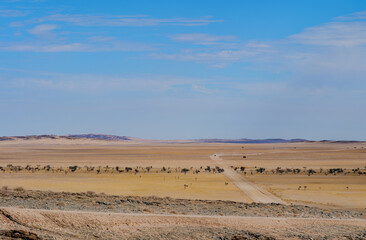 wilderness of the Namib desert, Namibia Africa