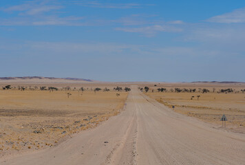 wilderness of the Namib desert, Namibia Africa