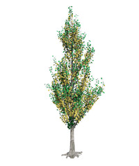 Albero con e senza foglie bianche, arancioni, verdi, gialle, rosse fondo trasparente e isolato inverno con  e senza neve	o foglie 
