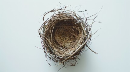 Aerial view of a bird s nest on a white surface
