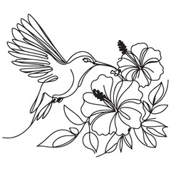 bird with flowers   bird with flower   one line drawing of hummingbird with hibiscus flowers   bird on a flower © Wahedul