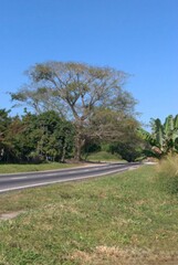 Las vias de comunicacion muy importantes para el desarrollo de un Pais.