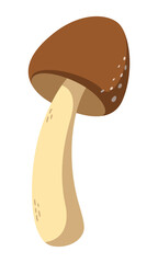 Vector hand drawn isolated mushroom