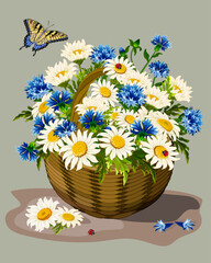 Basket with daisies and cornflowers.Vector illustration with daisies and cornflowers in a wicker basket on a colored background.