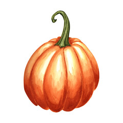 Pumpkin orange whole ripe. Hand drawn watercolor botanical illustration, isolated. Thanksgiving traditional autumn vegetable. Template for invitation, card, Halloween decorating, wrapping, embroidery.