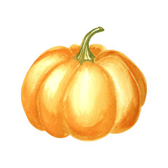 Pumpkin yellow whole ripe. Hand drawn watercolor botanical illustration, isolated. Thanksgiving traditional autumn vegetable. Template for invitation, card, Halloween decorating, wrapping, embroidery.