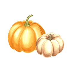 Pumpkins yellow and white whole. Hand drawn watercolor illustration, isolated. Thanksgiving composition traditional autumn vegetables. Template for invitation, card, Halloween, wrapping, embroidery.