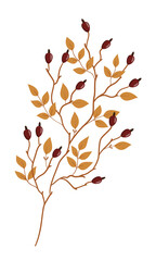 Vector hand drawn isolated branch
