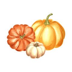 Pumpkins orange, yellow and white composition. Hand drawn watercolor illustration, isolated. Thanksgiving traditional autumn vegetables. Template for invitation, card, Halloween, wrapping, embroidery.