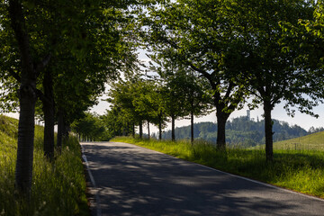Straße in der Sächsischen Schweiz