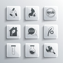 Set Test tube and flask, Magnifying glass with globe, Leaf or leaves, Label for eco healthy food, Eco friendly house, Virus and No GMO icon. Vector