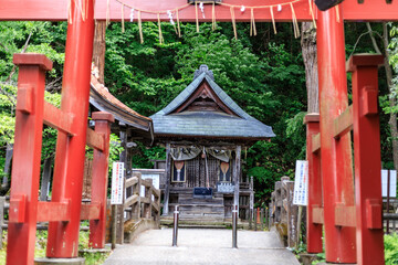 Tranquil Pathway to a Shinto Shrine under a Red Torii in Iimori Hill, Aizuwakamatsu, Japan