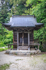 Fototapeta premium Tranquil Shinto Shrine in Verdant Forest, Iimori Mountain, Aizuwakamatsu, Japan