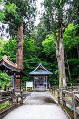 Tranquil Shinto Shrine in Verdant Forest, Iimori Mountain, Aizuwakamatsu, Japan