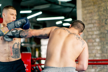 in boxing fight club two young bare-chested boxers with tattoos in gray gloves gambling sparring in...