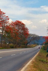 Obraz premium Podriamos definir a Yaracuy como el estado 