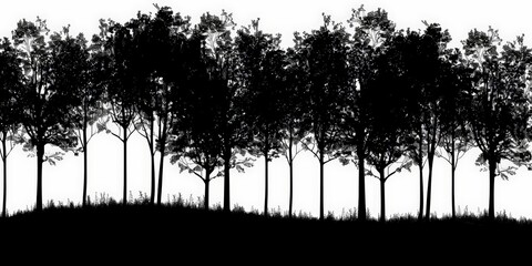 A long line of trees with a grassy hill in the background