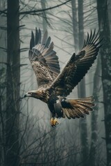 Obraz premium inspiring sight of an eagle flying through a dense forest