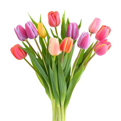 beautiful tulip Flower bouquet for wedding, isolated on transparent background
