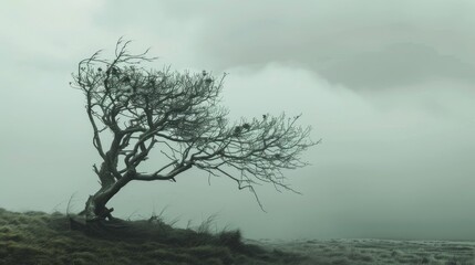Concept of lifeless tree Symbolizing mortality quietness and lack of endurance