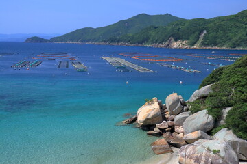 柏島の養殖場　初夏の景観　（高知県　大月町）