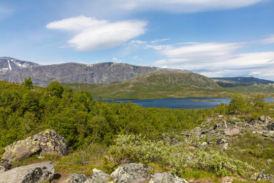 Norway Jotunheim park on a cloudy summer day.