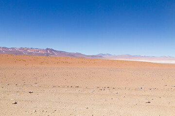 Bolivian lagoon landscape,Bolivia