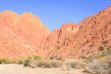 Fototapeta premium Bolivian canyon near Tupiza,Bolivia