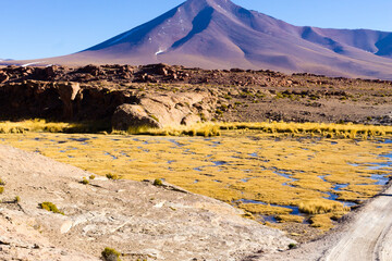 Beautiful bolivian landscape,Bolivia