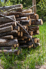 stack of brush for fire mitigation
