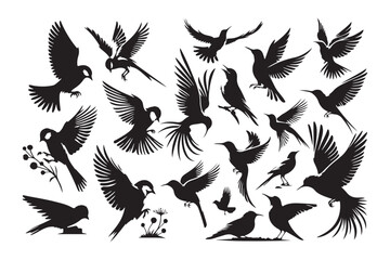 Set of Bird Silhouette Vector Artworks