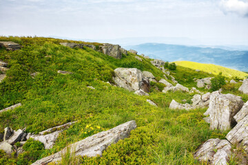 mountainous landscape with stones and boulders on the grassy rolling meadows. alpine scenery of ukrainian carpathians in summer. mnt. runa also called smooth mountain