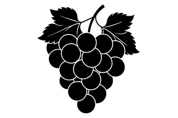 grapes vector illustration silhouette