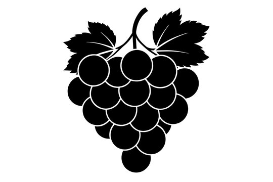 recommend clip art: grapes vector illustration silhouette