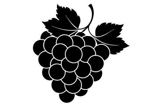 recommend clip art: grapes vector illustration silhouette