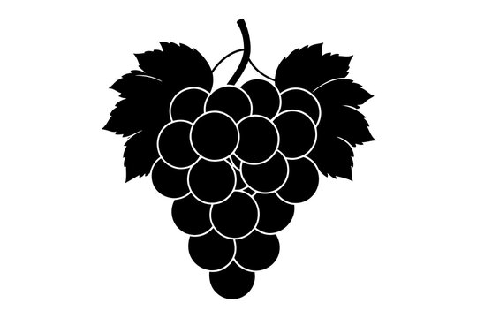 recommend clip art: grapes vector illustration silhouette
