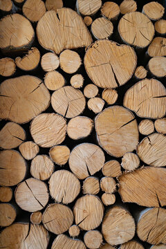 B&ucirc;ches de chemin&eacute;e rang&eacute;es, entrepos&eacute;es, entass&eacute;es. Bois clair et sec.