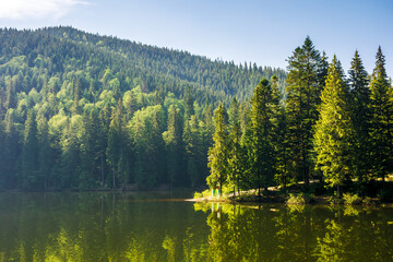 landscape with mountain lake of synevyr national park. green carpathian nature scenery in summer. coniferous forest on the hill reflecting in the water. popular travel destination of ukraine