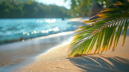 With a shadow of a coconut leaf on a clean sand beach, summer and holiday backgrounds are selectively focused