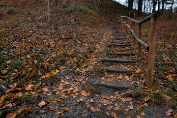 autumn park outdoor environment with wooden stair way for walking