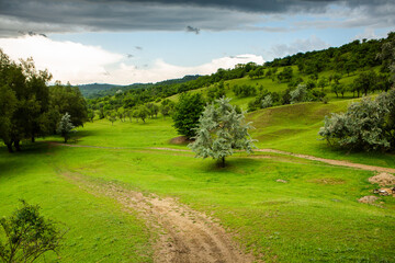 Photo with landscape and beautiful green nature in the Republic of Moldova, a small friendly country in Eastern Europe.